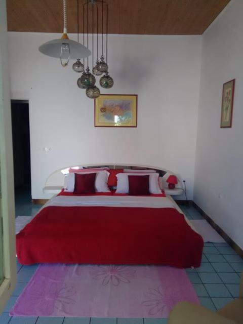 טרוגיר Villa Caroline מראה חיצוני תמונה
