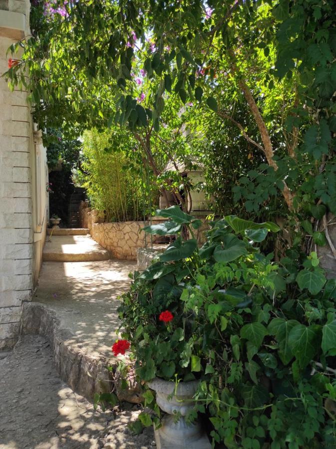 טרוגיר Villa Caroline מראה חיצוני תמונה