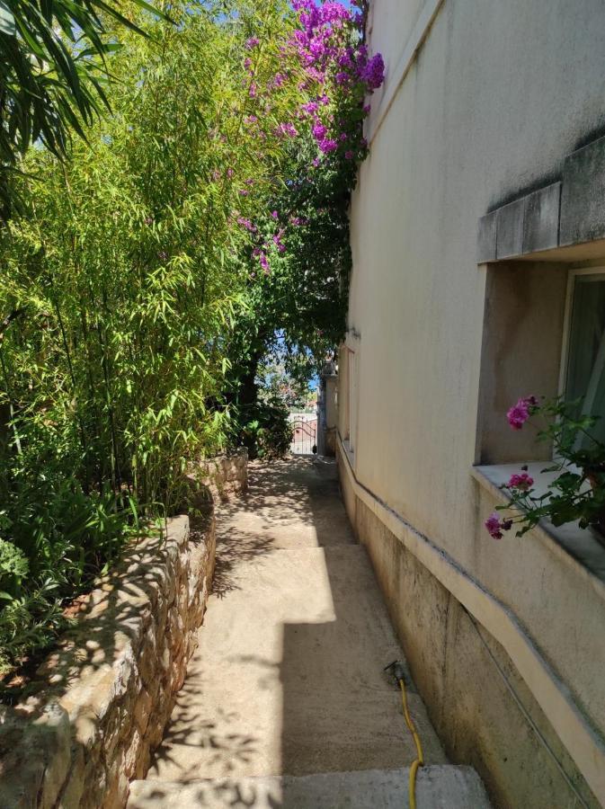 טרוגיר Villa Caroline מראה חיצוני תמונה