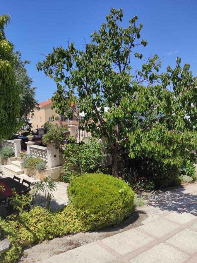 טרוגיר Villa Caroline מראה חיצוני תמונה